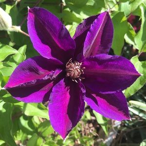 Meet your Posher, Terri